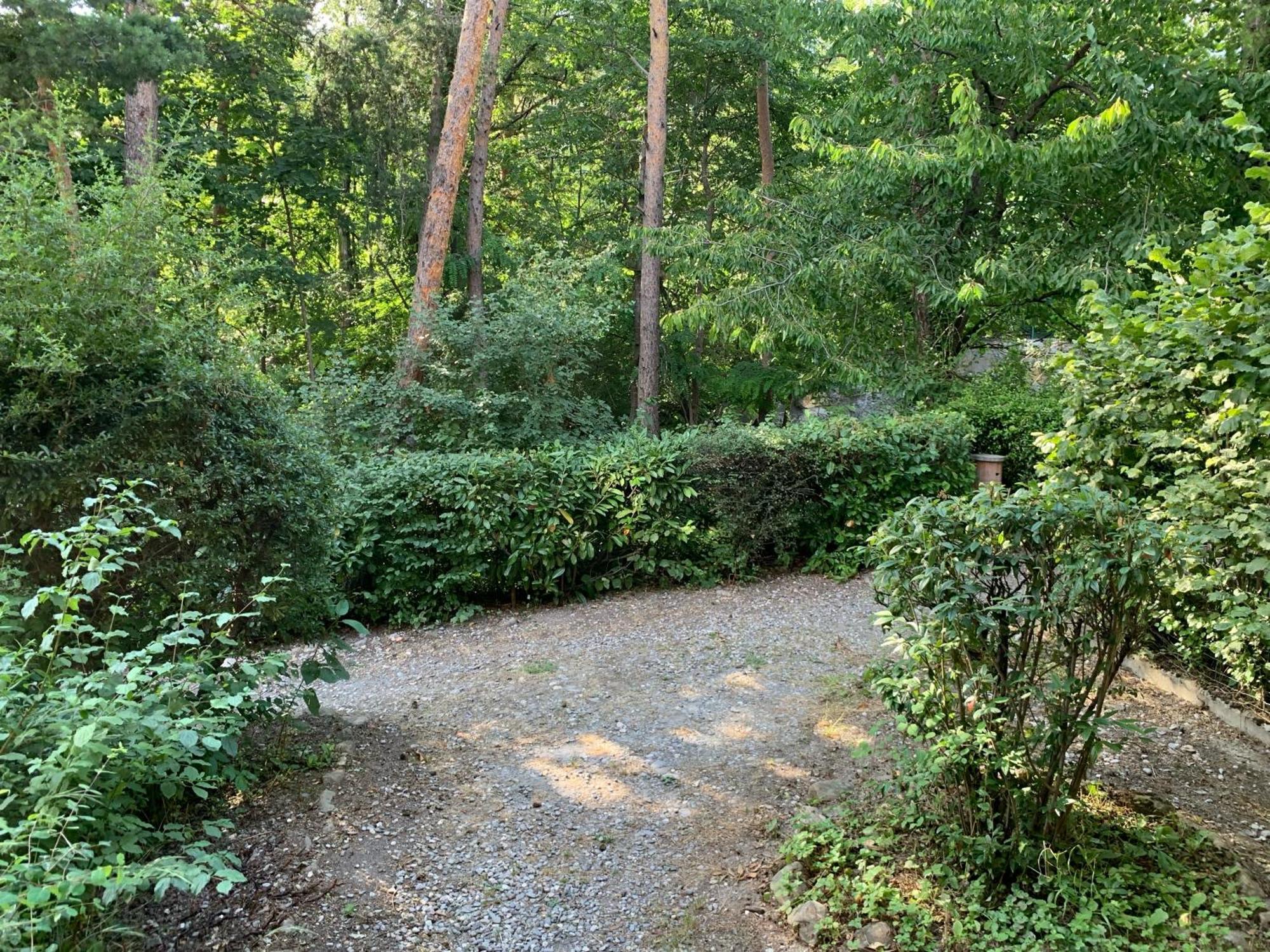 Agreable T2 En Rez De Jardin A 2 Pas Du Plan D'eau *