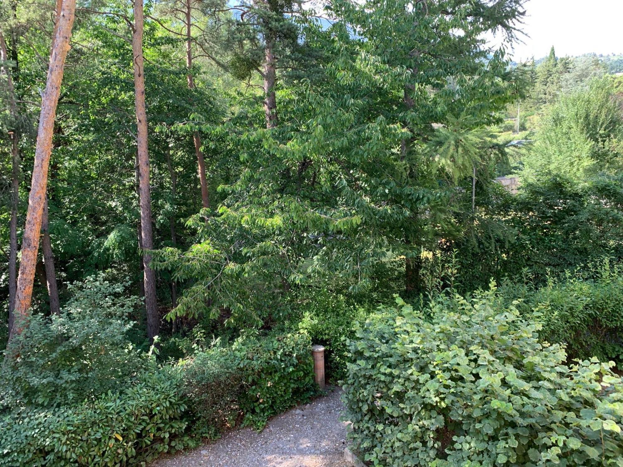 Apartment Agreable T2 En Rez De Jardin A 2 Pas Du Plan D'eau Embrun