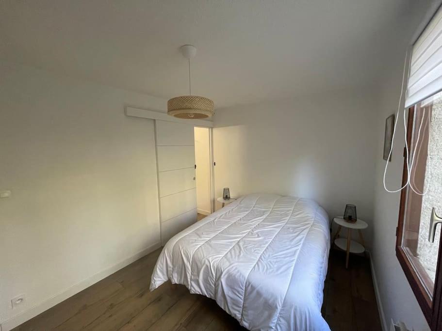 Apartment Agreable T2 En Rez De Jardin A 2 Pas Du Plan D'eau *