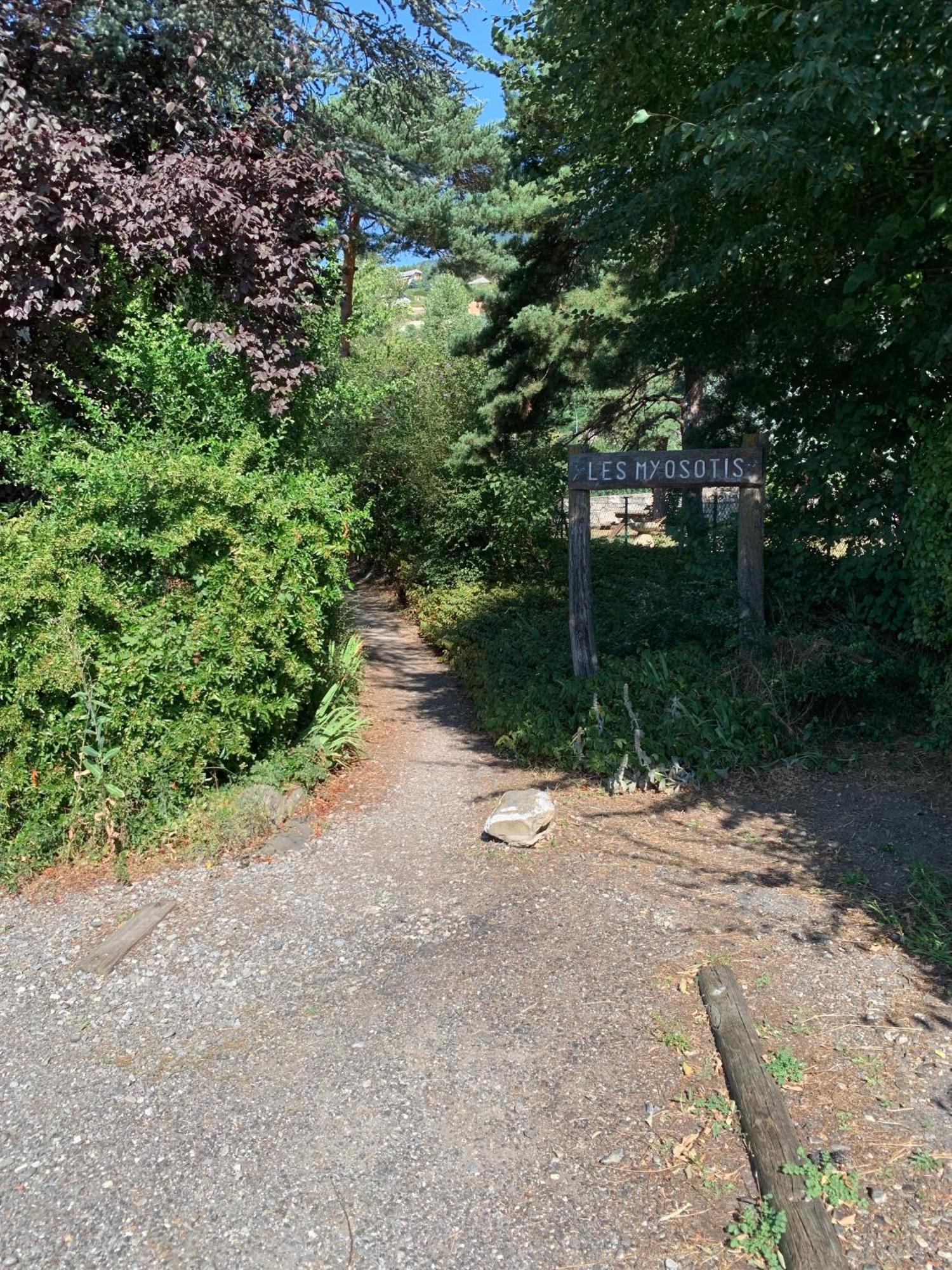Agreable T2 En Rez De Jardin A 2 Pas Du Plan D'eau Appartement *