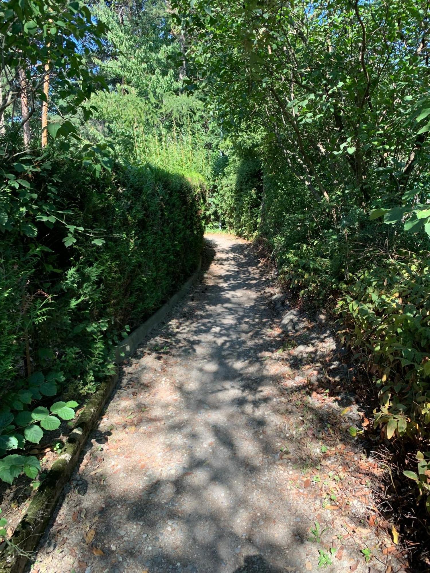 Agreable T2 En Rez De Jardin A 2 Pas Du Plan D'eau *
